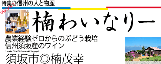 楠わいなりー