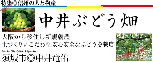 信濃国 中井ぶどう畑