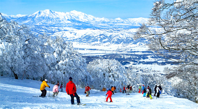 増野地区の果樹園（松川町）