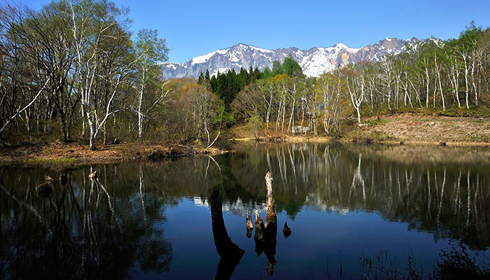 秋山郷天池