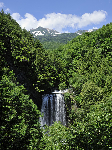 乗鞍高原　善五郎の滝