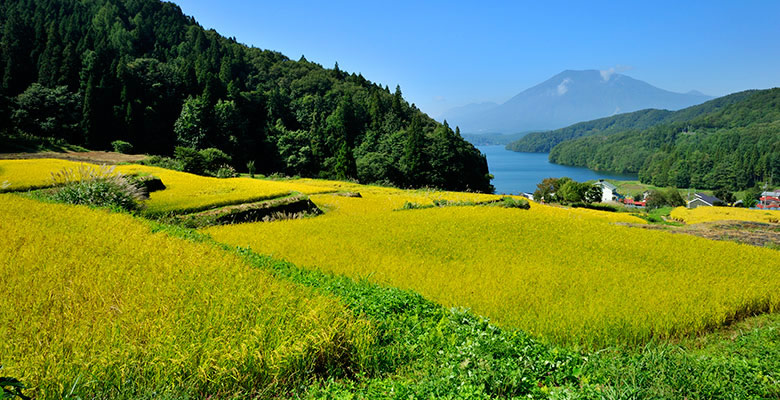 黒姫山、野尻湖を望む田園風景