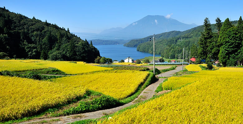 黒姫山、野尻湖を望む田園風景