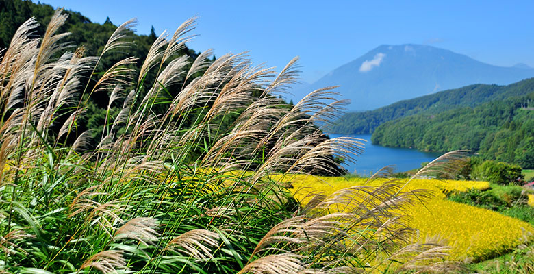 黒姫山、野尻湖を望む田園風景