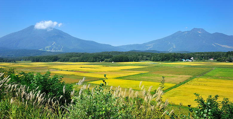 黒姫山、野尻湖を望む田園風景