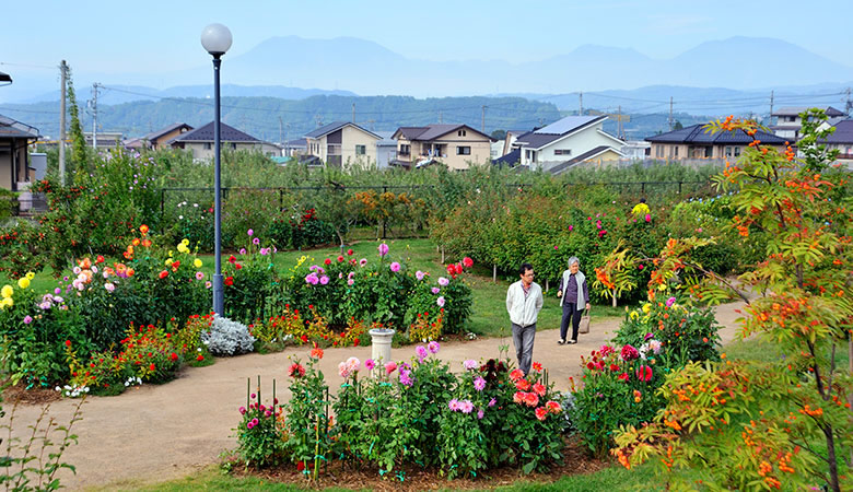 中野市一本木公園