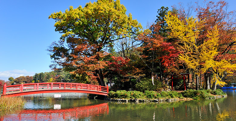 臥竜公園の紅葉