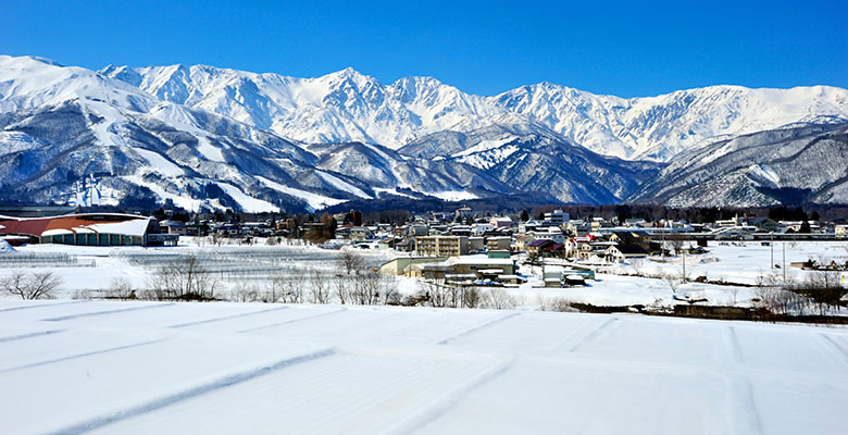 白馬岩岳スノーフィールド