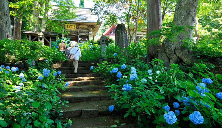 戸狩温泉、あじさい寺