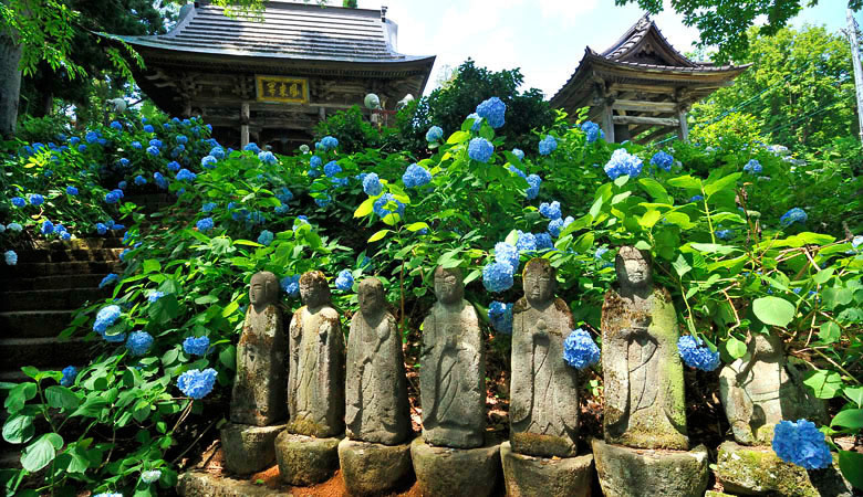 戸狩温泉、あじさい寺