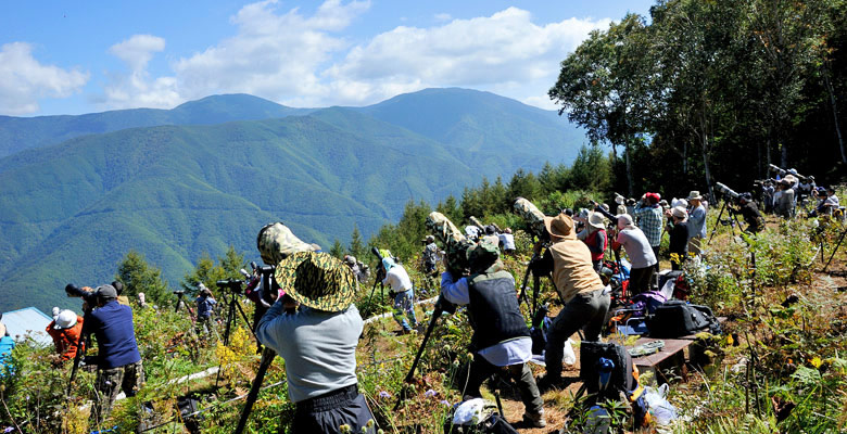 松本市奈川　タカの渡り