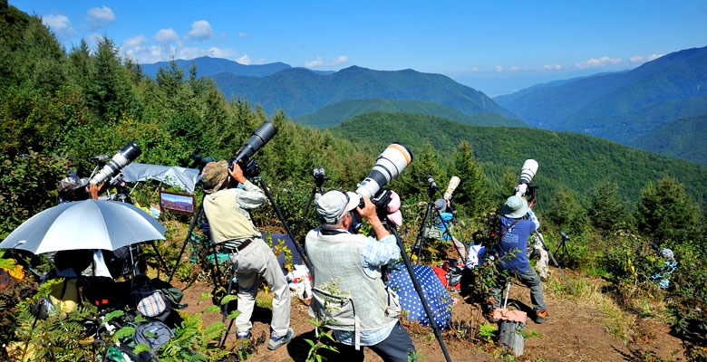 松本市奈川　タカの渡り