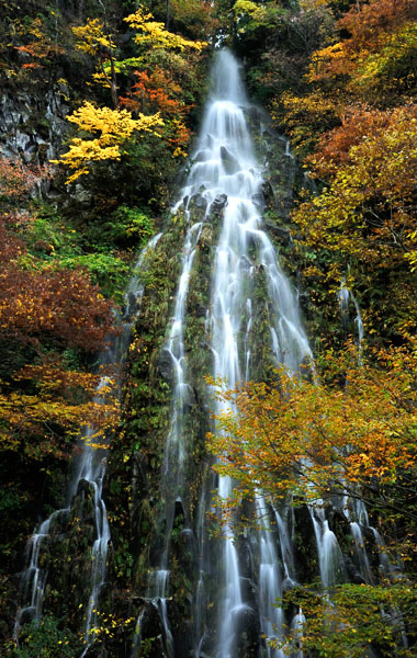 木島平樽滝