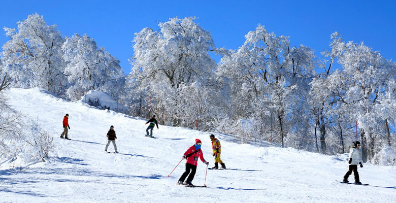 野沢温泉スキー場