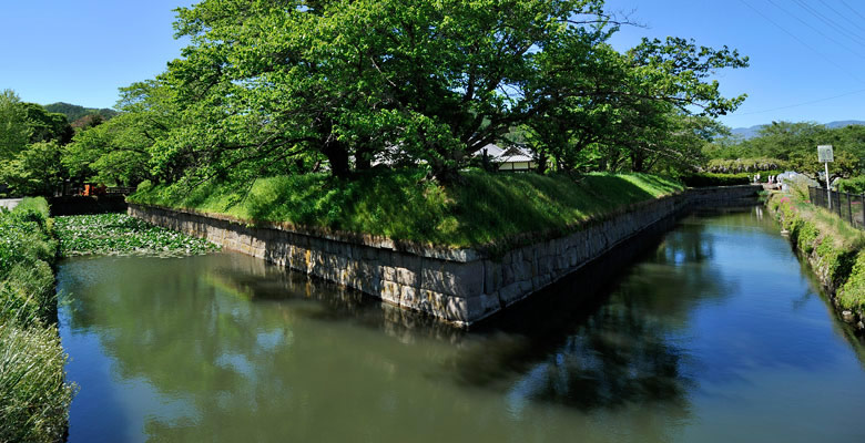 龍岡城五稜郭