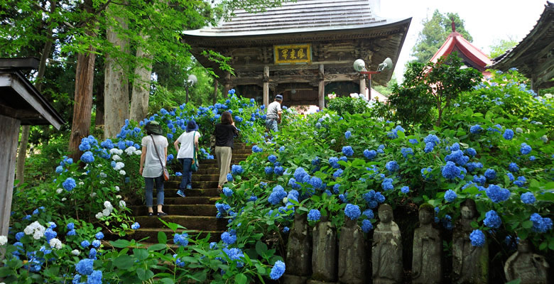 戸狩温泉,あじさい寺