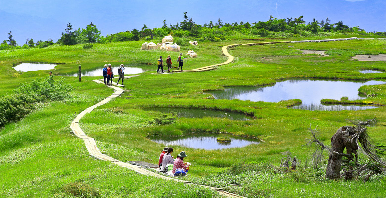 苗場山登山小赤沢コース