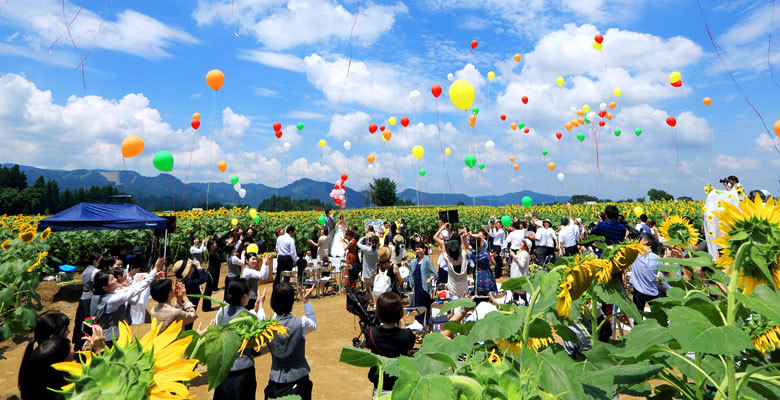 津南町ひまわり広場