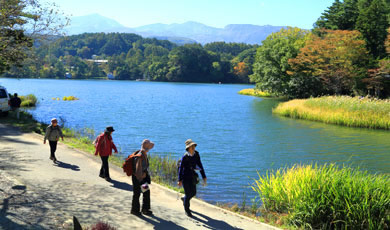 小海町紅葉ウォーク