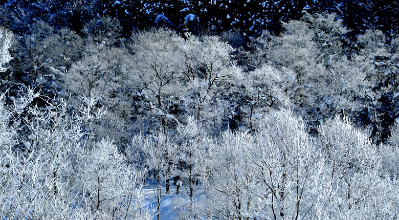 白馬村