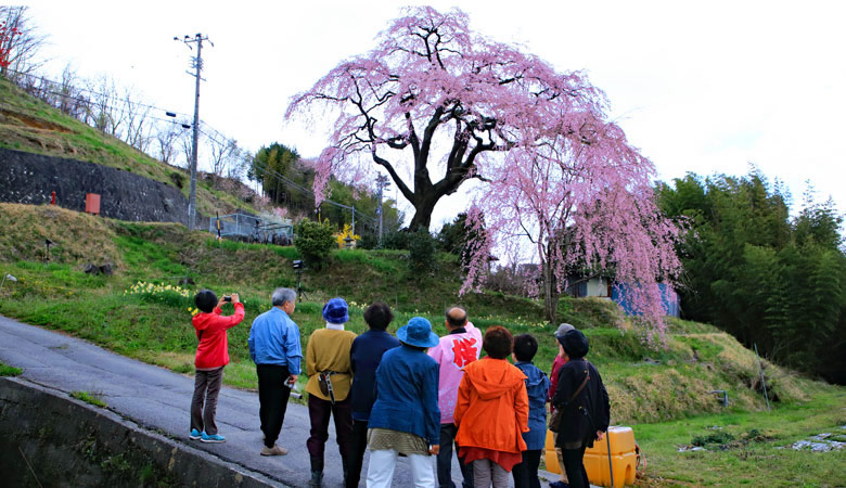 豊丘村