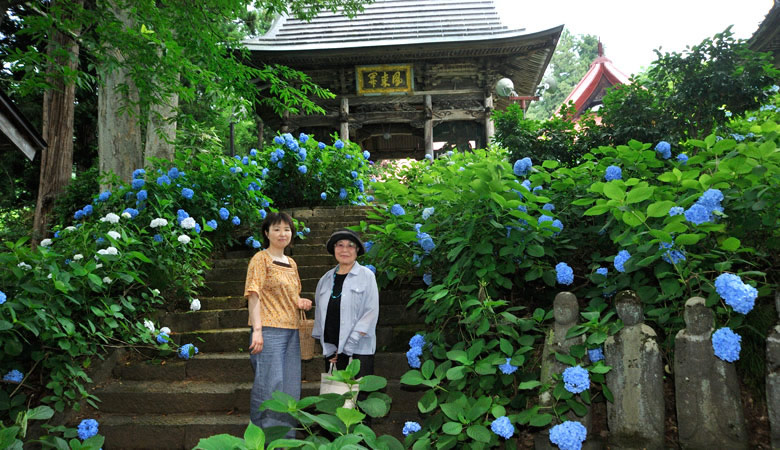 高源院,あじさい寺