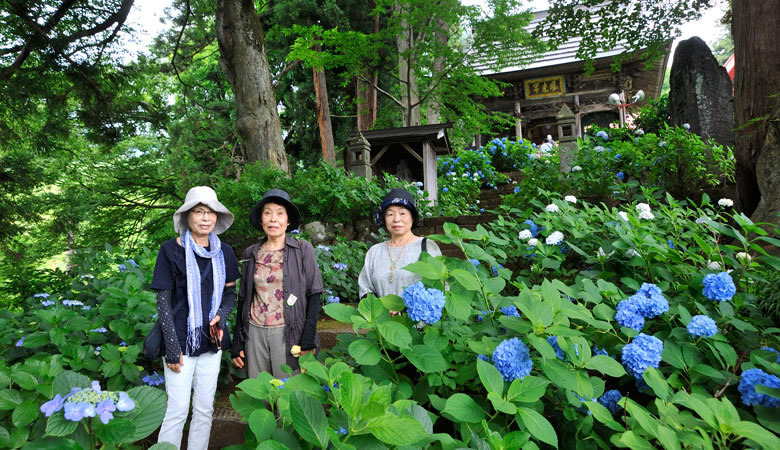 高源院,あじさい寺