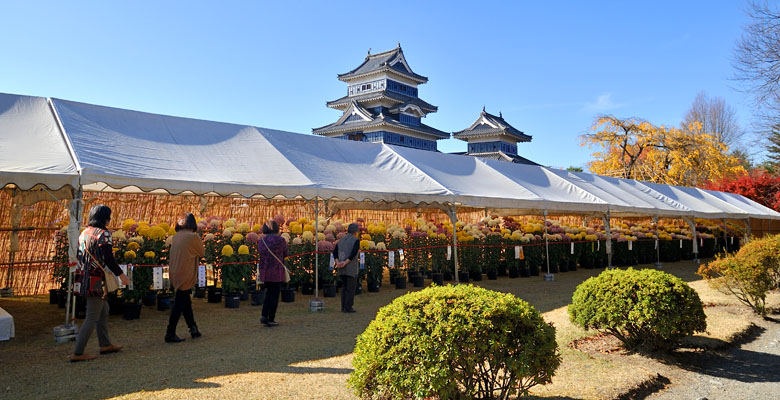 松本城