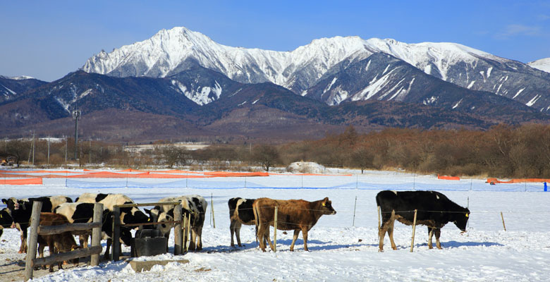 滝沢牧場