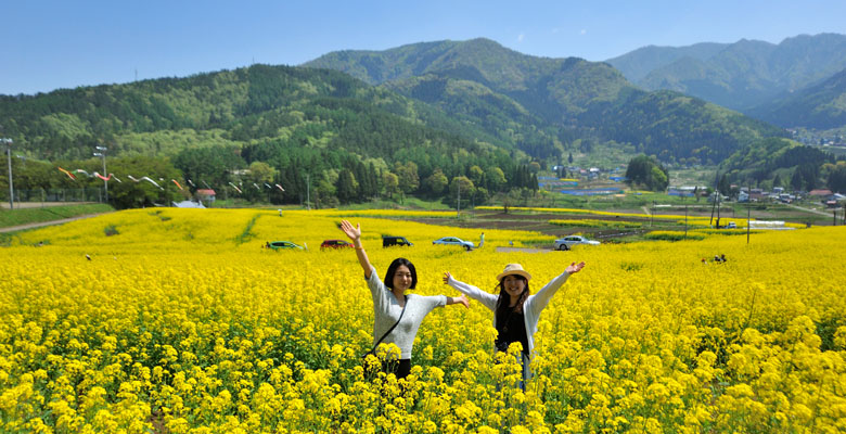 飯山市　菜の花公園