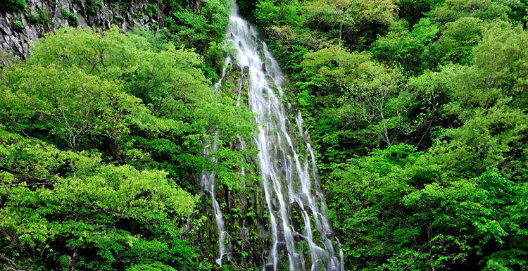 木島平村　樽滝