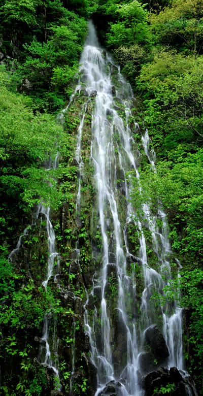 木島平村　樽滝