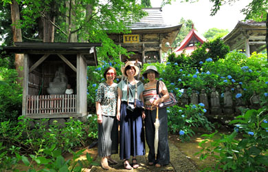 飯山市戸狩温泉　あじさい寺