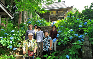 飯山市戸狩温泉　あじさい寺