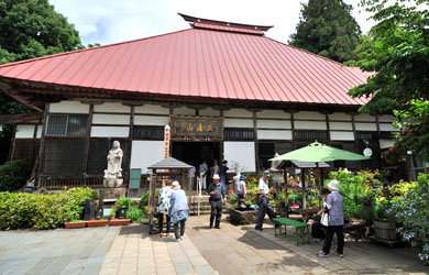 飯山市戸狩温泉　あじさい寺