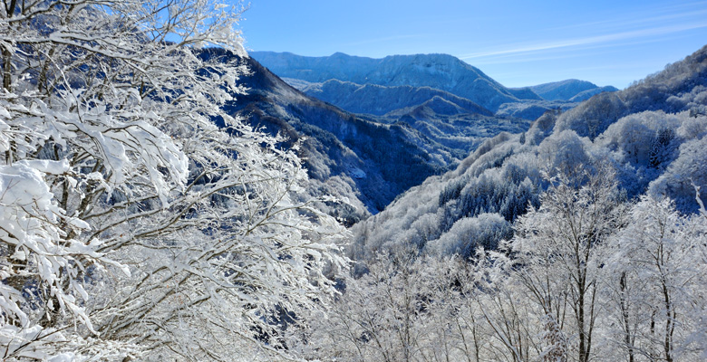 秋山郷