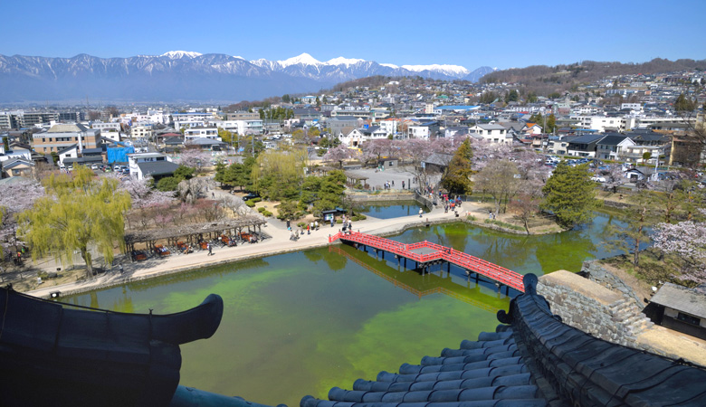 国宝松本城の桜