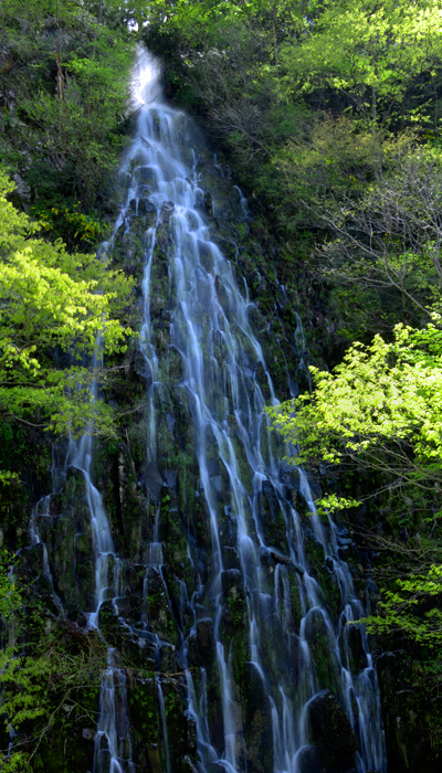 木島平村 樽滝