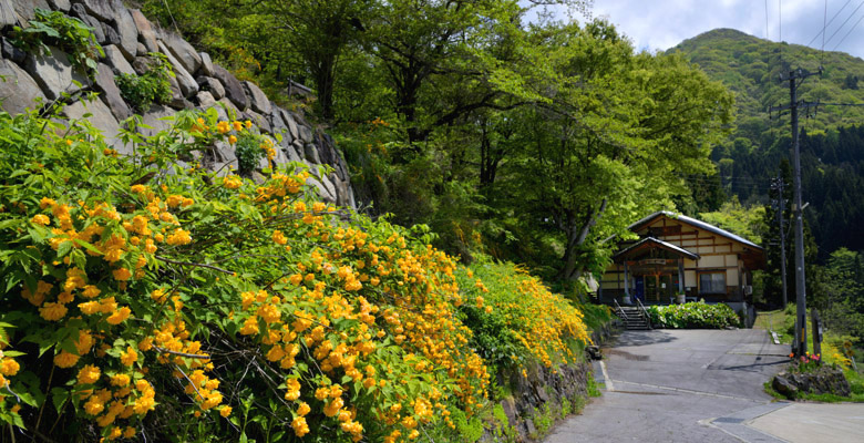 木島平村　やまぶきの里