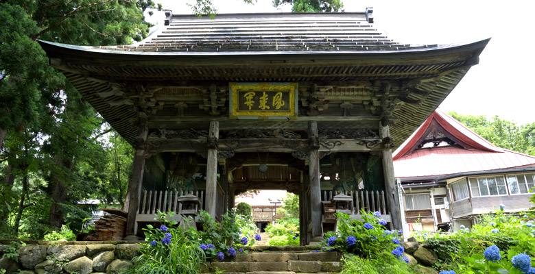 飯山市戸狩温泉　あじさい寺