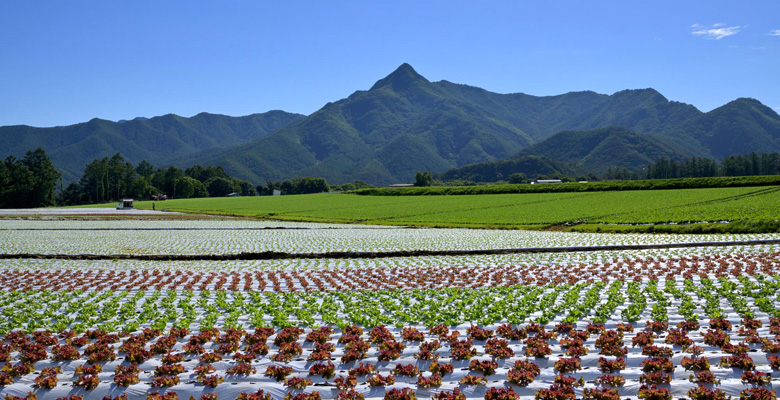 野辺山高原