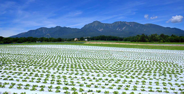 野辺山高原