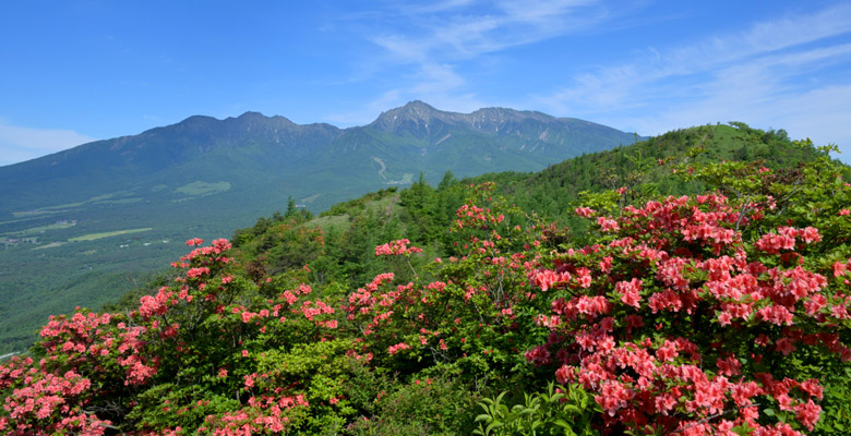 飯盛山ハイキング　八ヶ岳