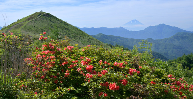 飯盛山ハイキング　富士山