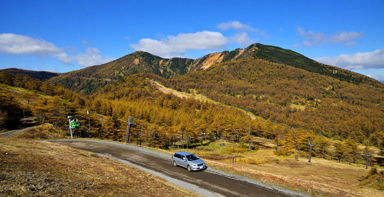 高峰高原　カラマツの紅葉