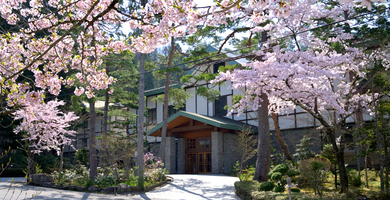 上林ホテル仙壽閣 玄関前の桜
