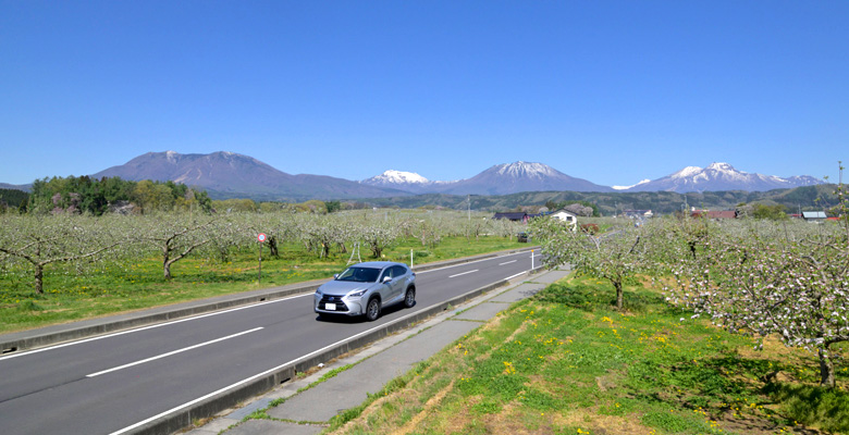 北信五岳とりんごの花