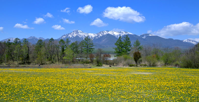 野辺山高原