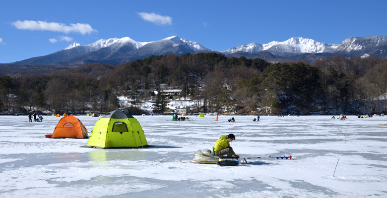 松原湖のわかさぎ釣り