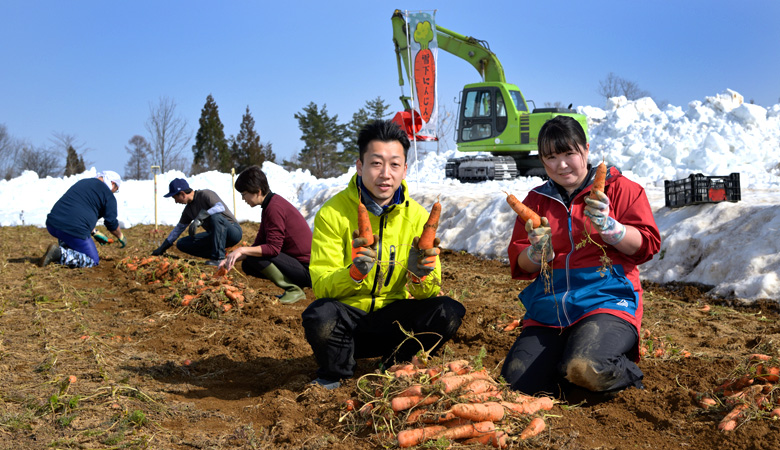 雪下にんじん掘り津南